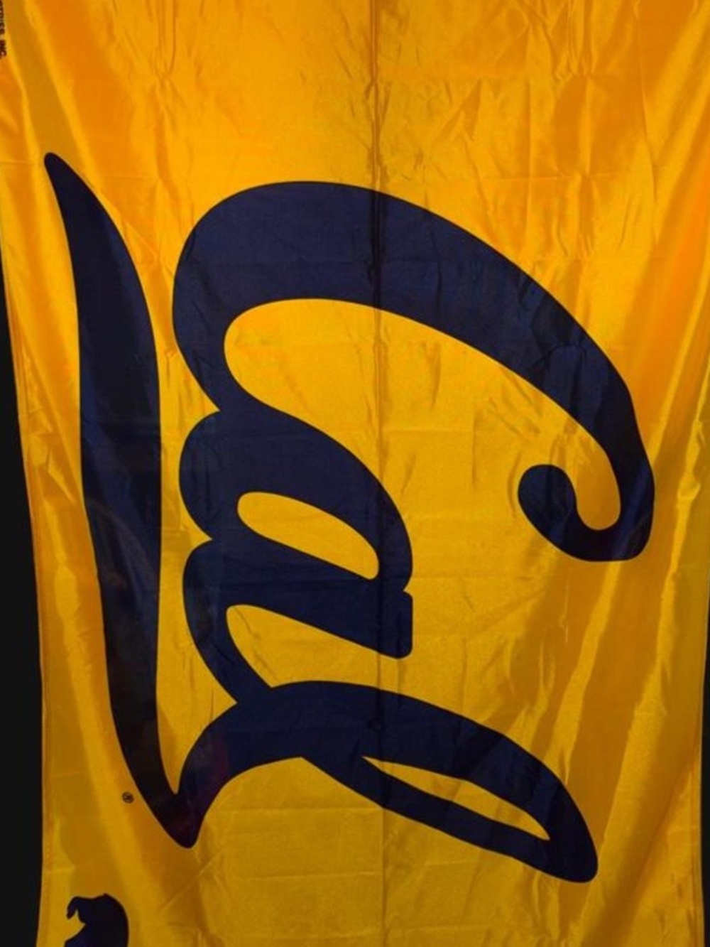 Cal Bears 3x5 Flag